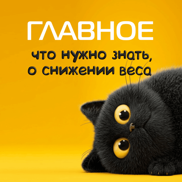 главное о снижении веса