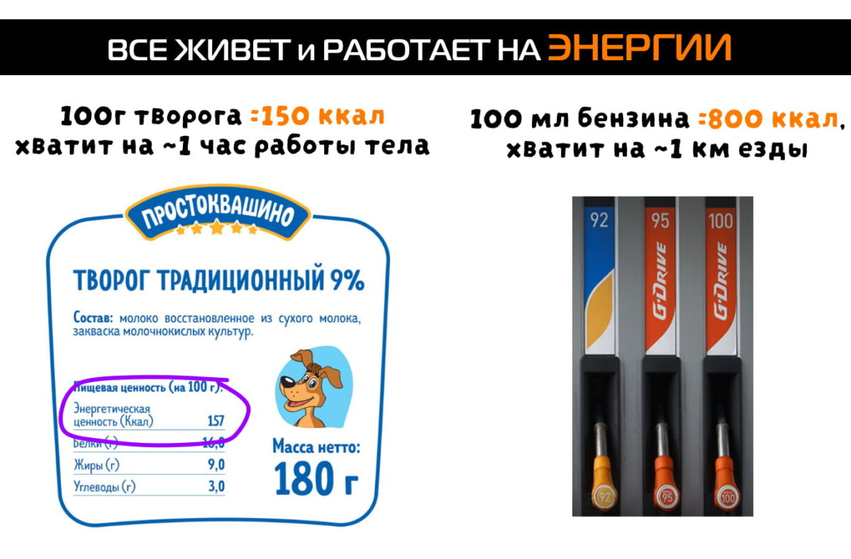 творог и бензин