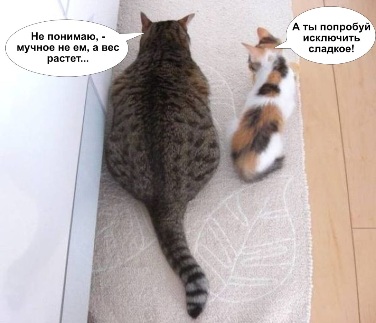 мучное не ем, и не худею