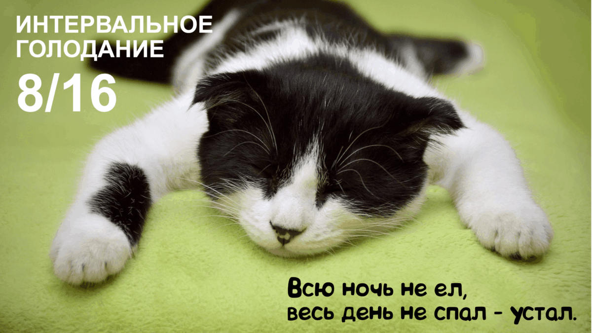 интервальное_голодание